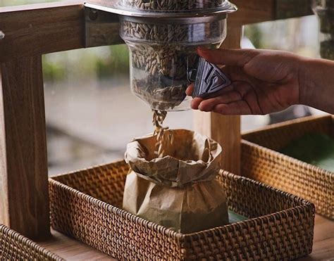 bali buda ubud|The Bali Bible .